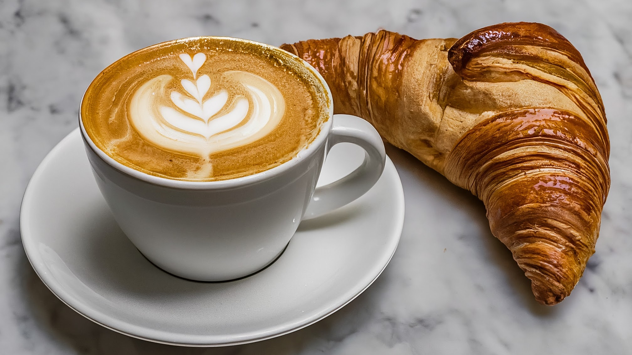 Whimsical hand-drawn illustration depicting the counter of a bustling Italian bar in the morning